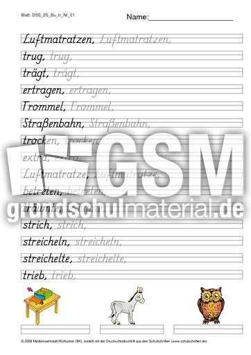 DSS_2S_Bu_tr_Nr_01.pdf